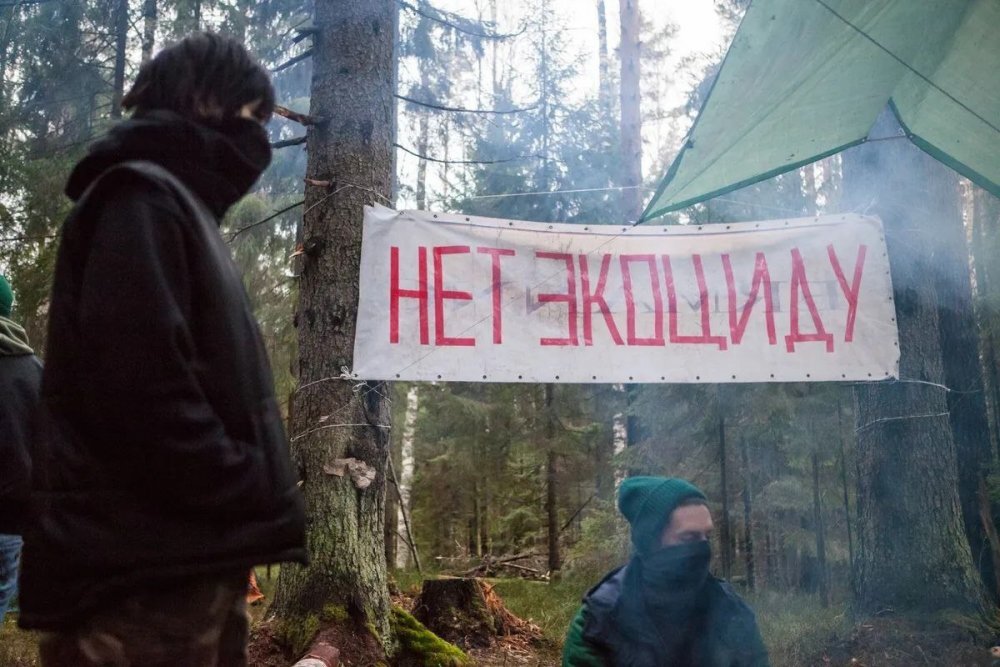 Экоактивистка против вырубки леса. Лозунги против вырубки лесов. Активистка против вырубки лесов. Против вырубки леса.