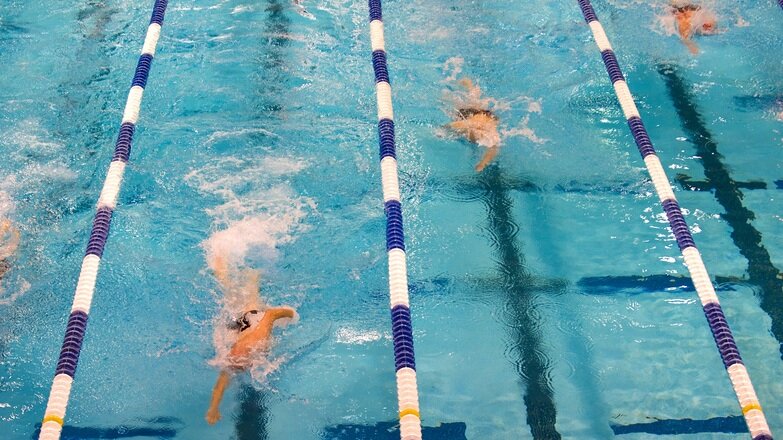 Фото: pxhere.com