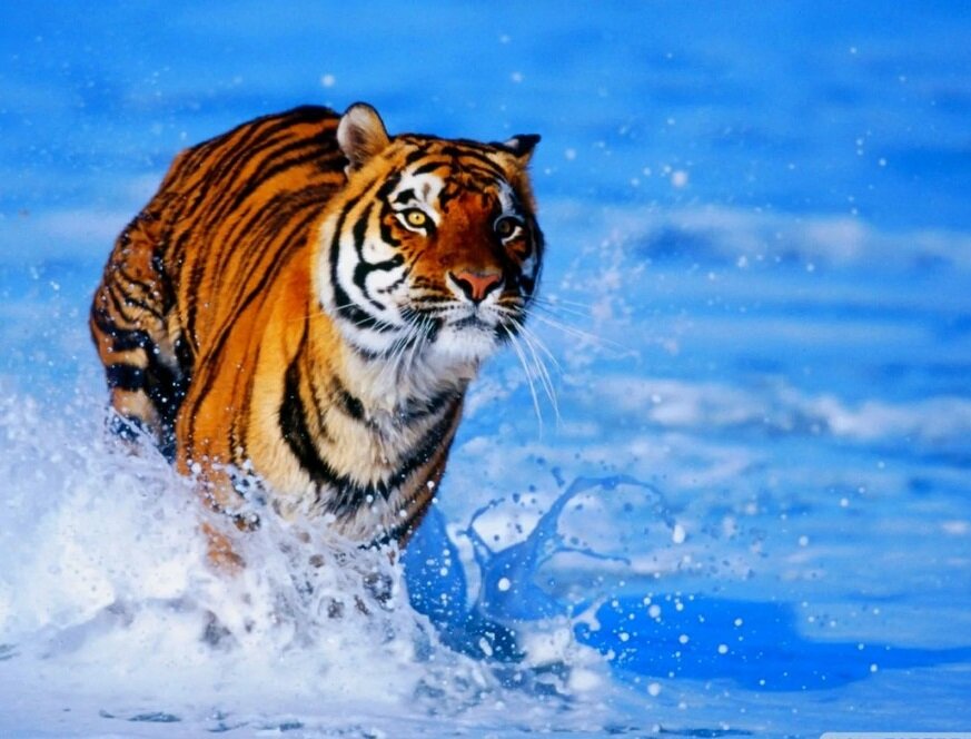 Как выбрать оригинальные подарки для детей