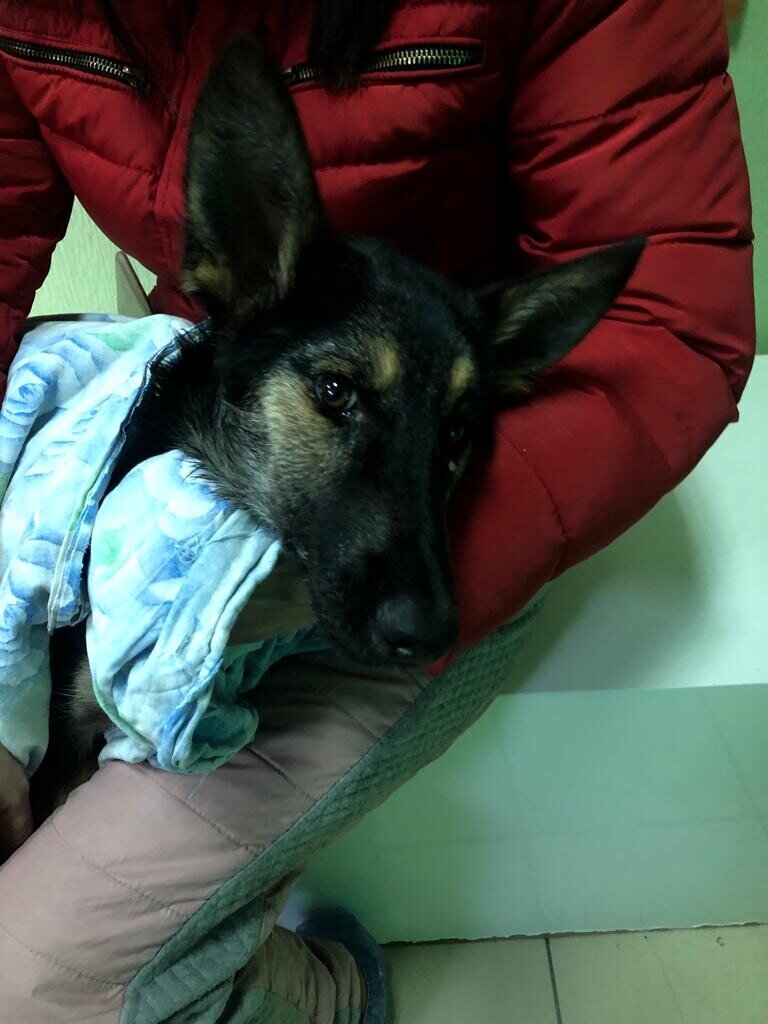 Амур хочет жить.. 