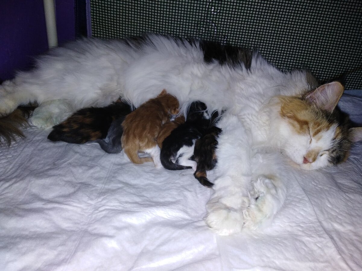 Фото из личного архива.