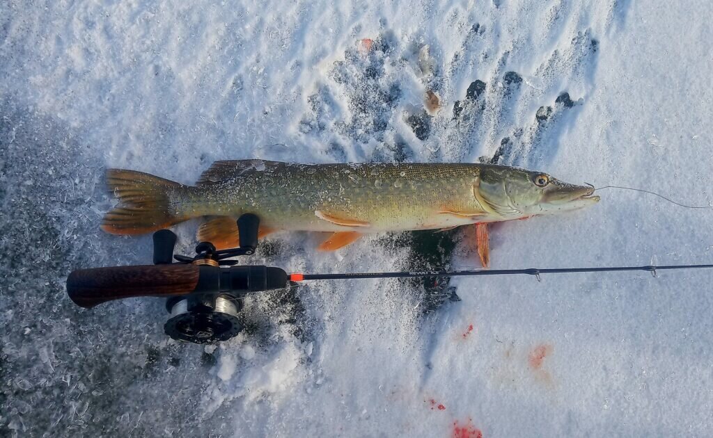 Добавьте описание