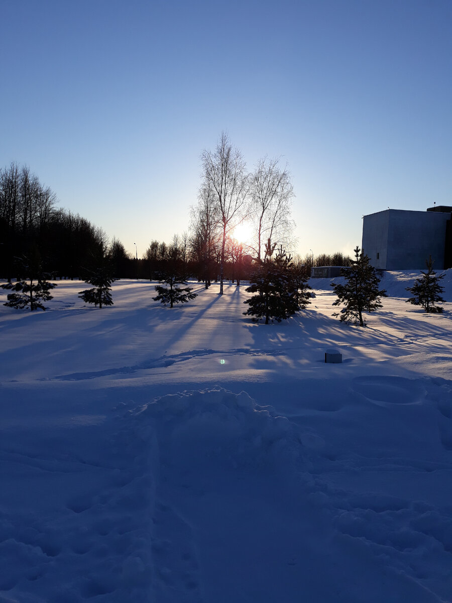 Фото автора для иллюстрации к тексту.