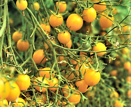 трудно самому красиво снять, но как-то так