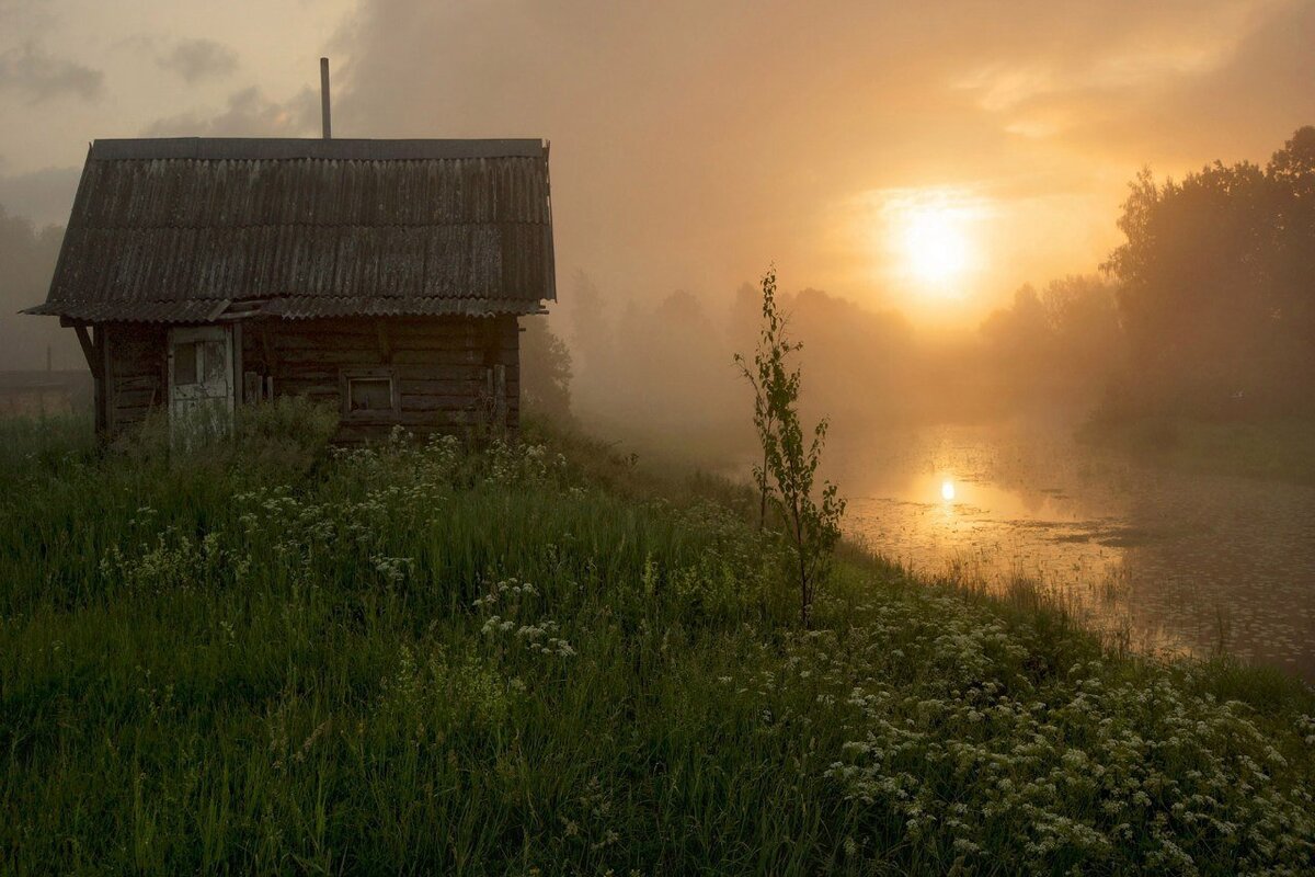 Яндекс.Картинки