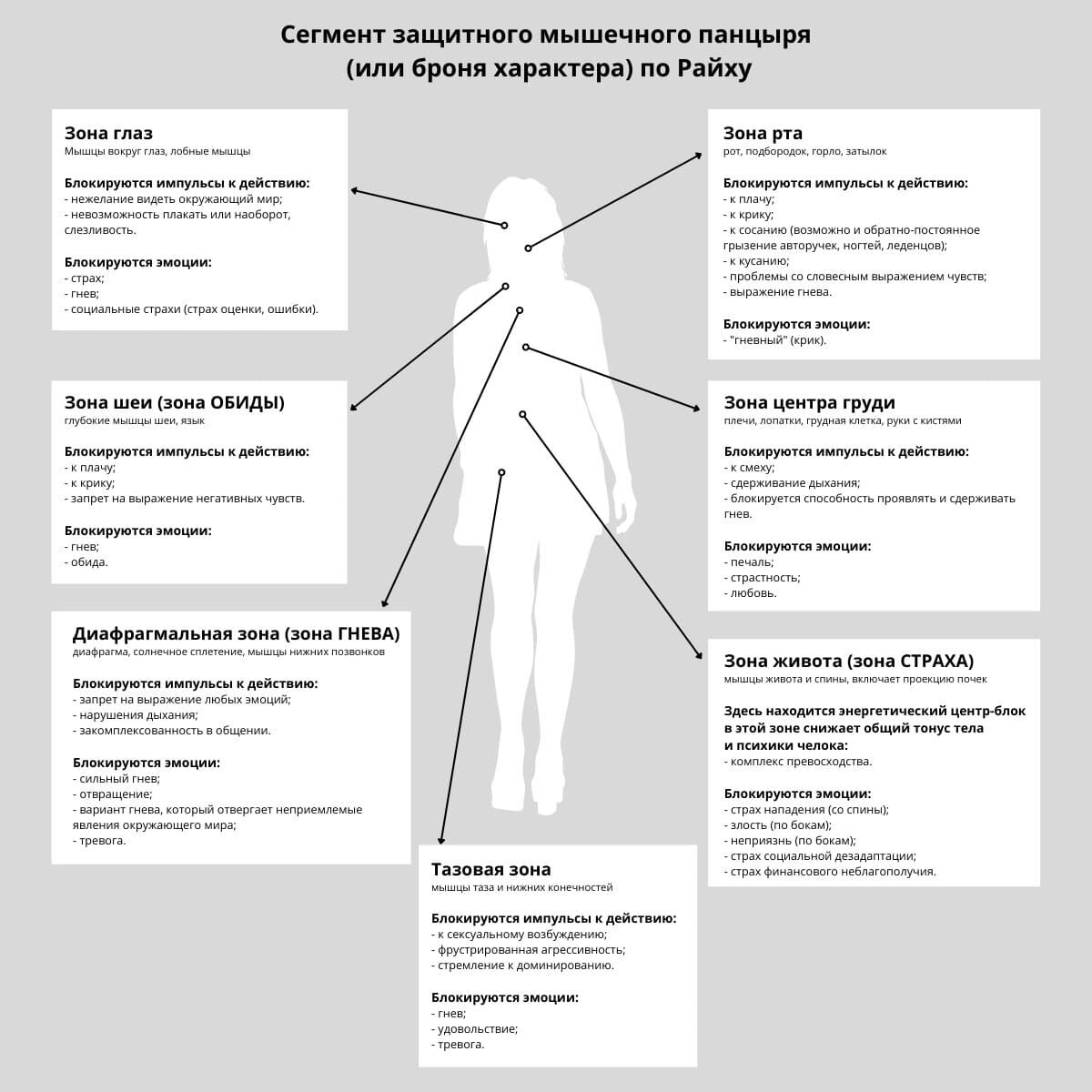 Мышечный панцирь по Райху