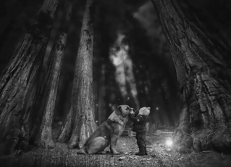 Фото из открытых источников интернета.