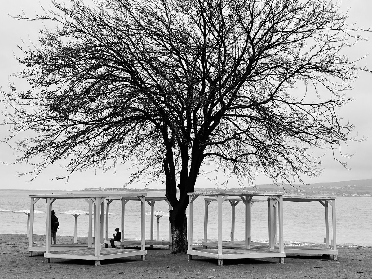 одиночество или могущество?