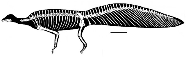 Реконструкция скелета по Ренесто, 2010 год. Шкала - 10 мм