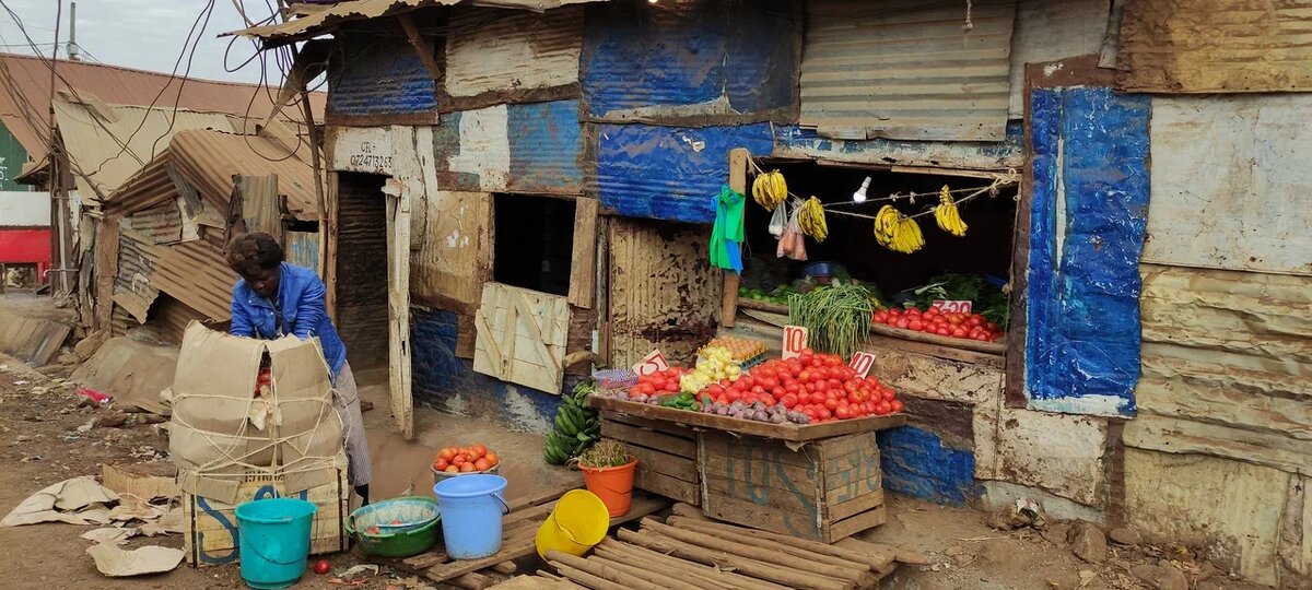 Местная лавка в трущебах