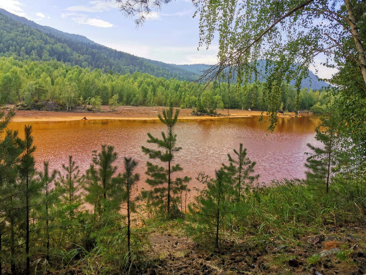 Баланкуль озеро Хакасия