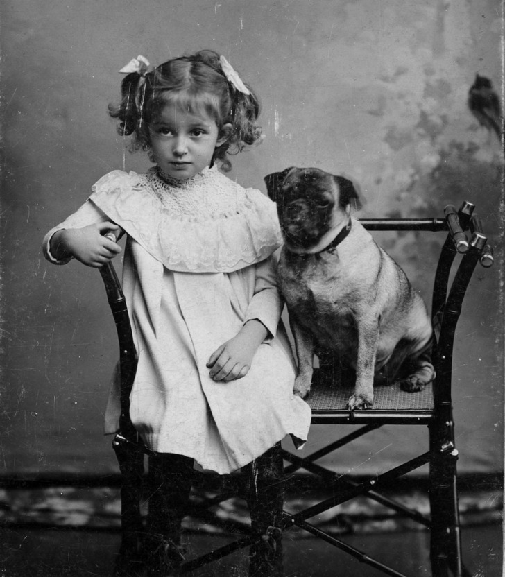 © Ivan Varenik / Wikimedia Commons