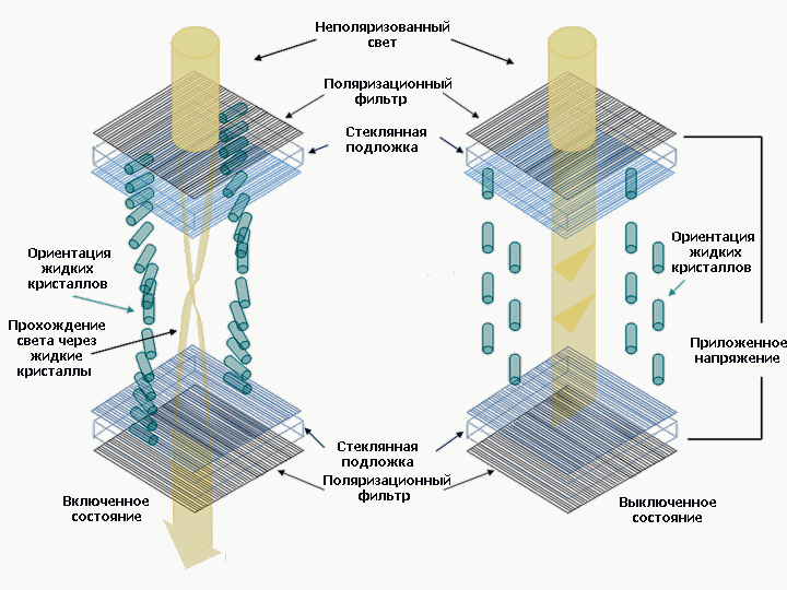 Фото: nv-reklama.ru