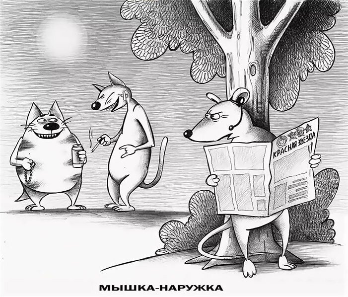 Яндекс.Картинки