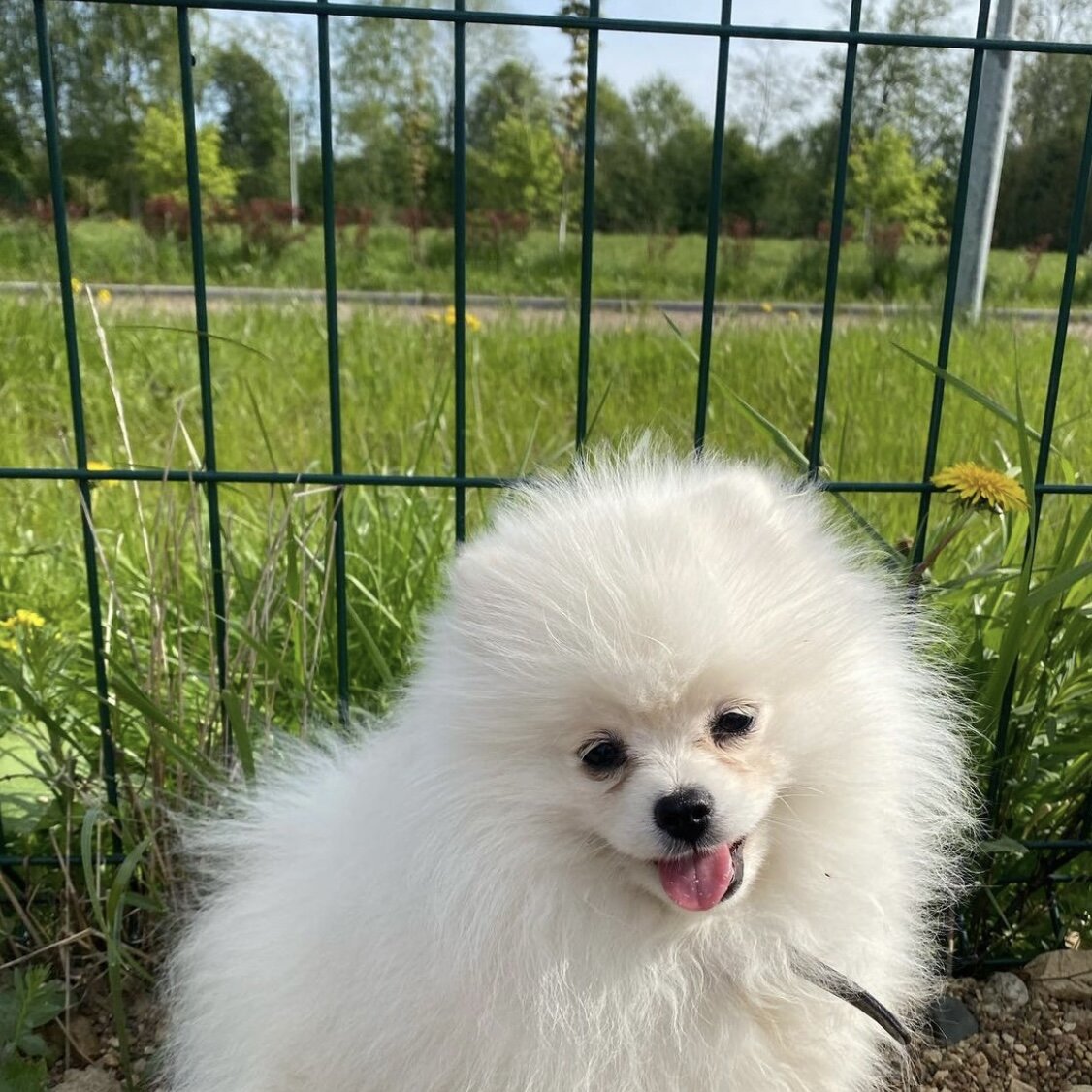 Классику пол года, сразу после процедуры у офтальмолога