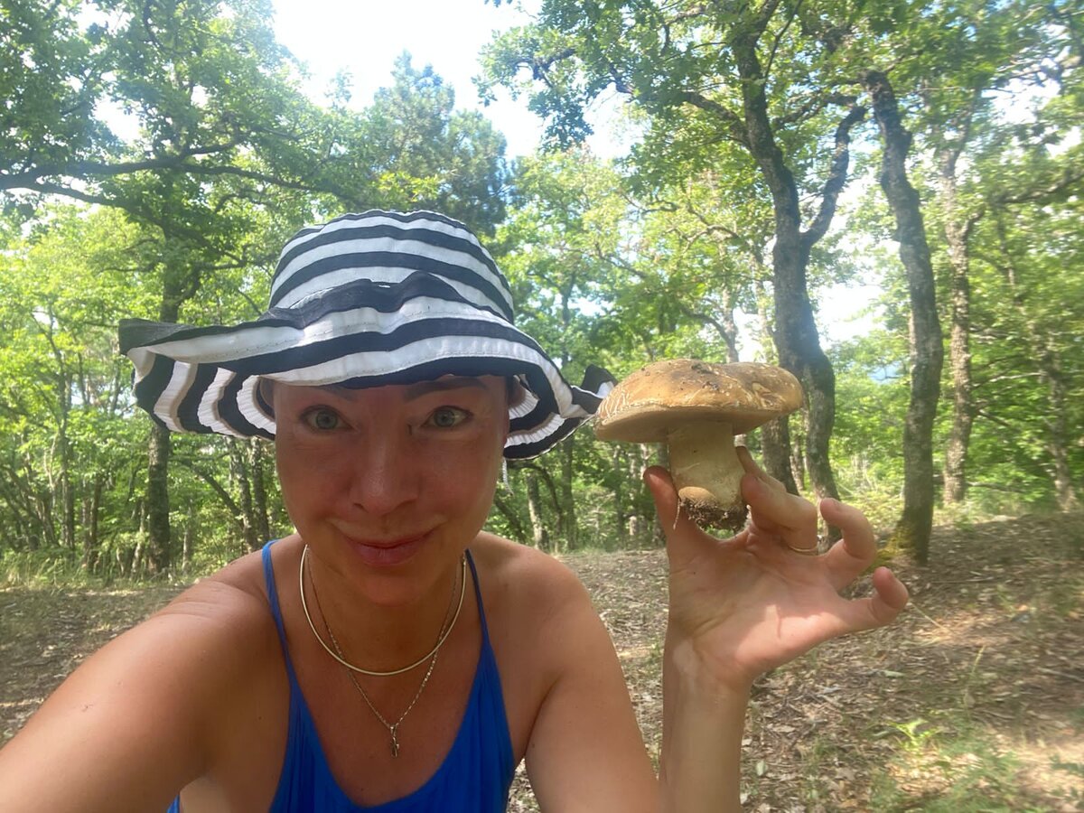 Лес в основном дуб