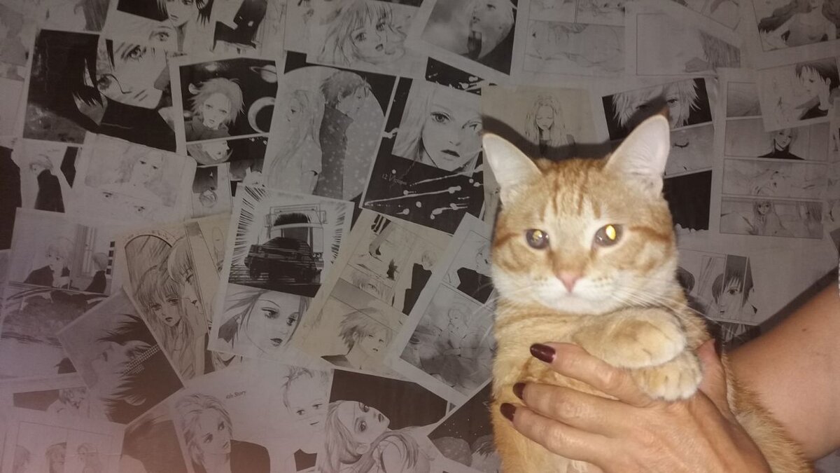 На заднем плане работы Фудзивары Каору.