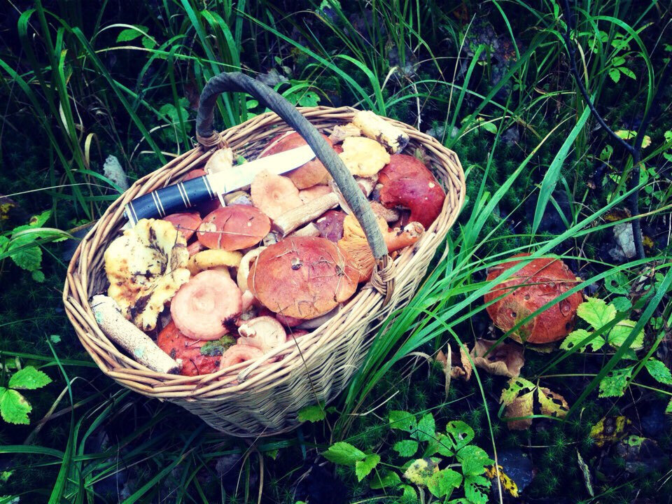 фото из интернета