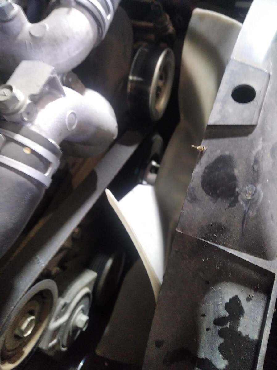 Поступили к разбору