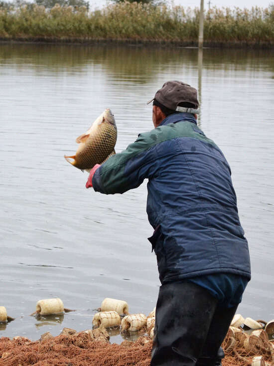     Астраханские рыбаки готовятся к осенней путине Редакция «МК в Астрахани»