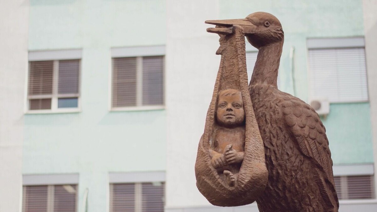     В Татарстане за утро на свет появились 55 малышей. Об этом в своем Telegram-канале сообщил глава республики Рустам Минниханов.