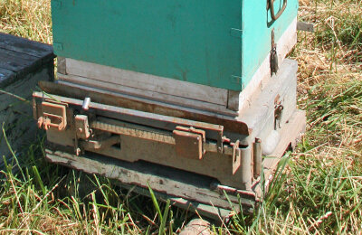 Если дно улья — это зеркало пчелиной семьи, то контрольный улей, находящийся на весах, — индикатор медосбора как стационарной, так и кочевой пасеки.