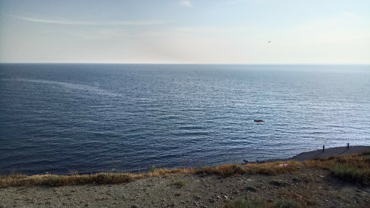 Море, чайки. Фото автора