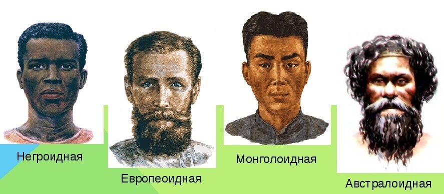 Рисунок человеческие расы