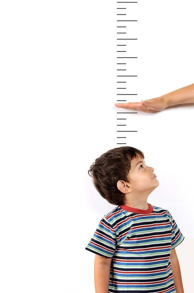 Источник фото: Яндекс. Картинки