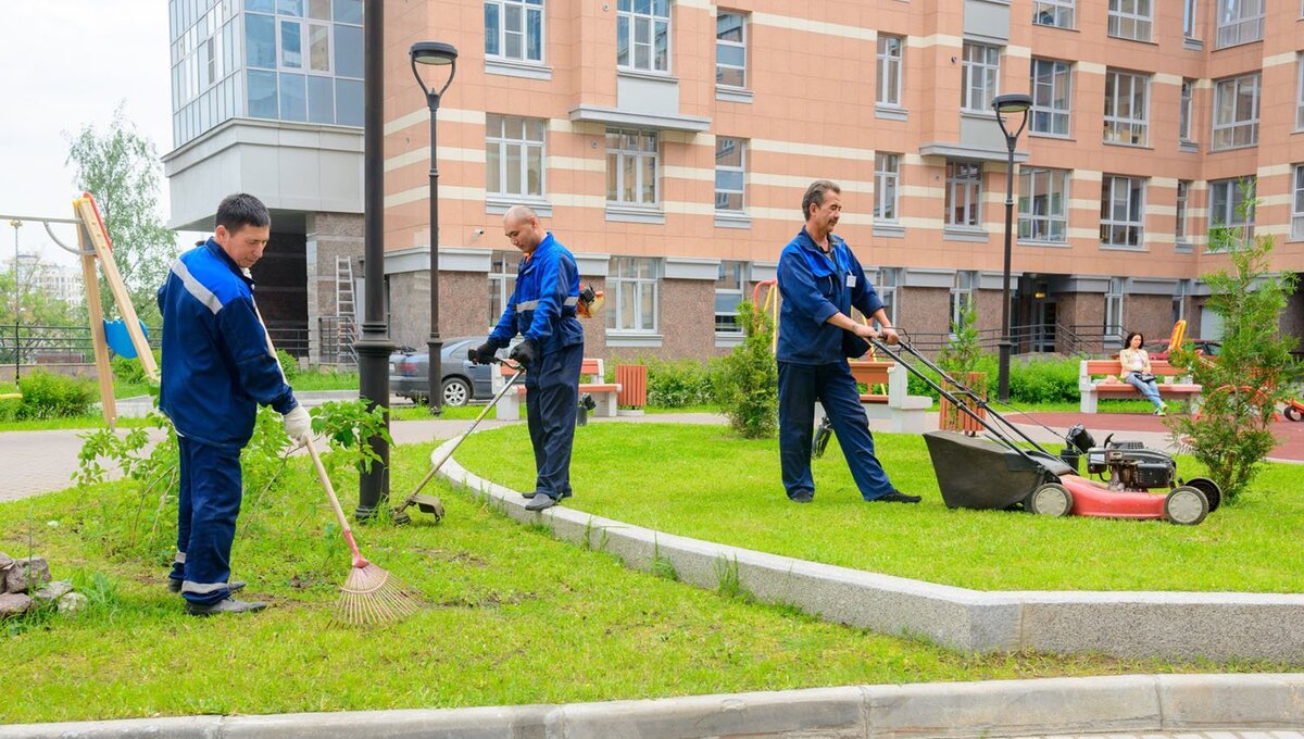 Особенности уборки придомовой территории | Almin Cleaning | Дзен