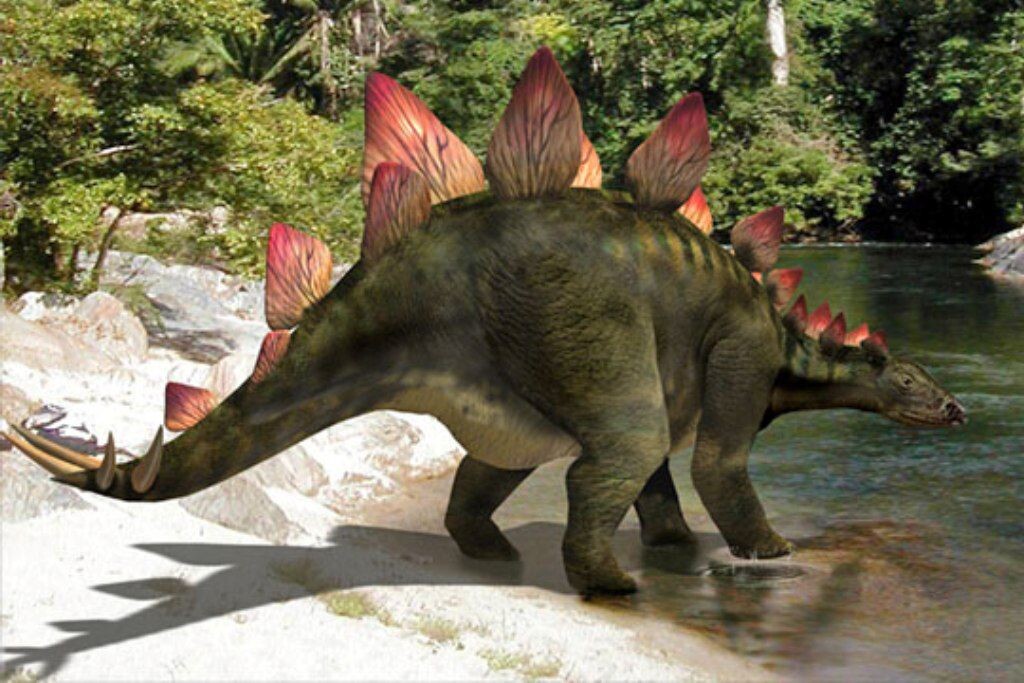 Стегозавр, травоядный, до 4 метров в высоту и до 9 метров в длину. 