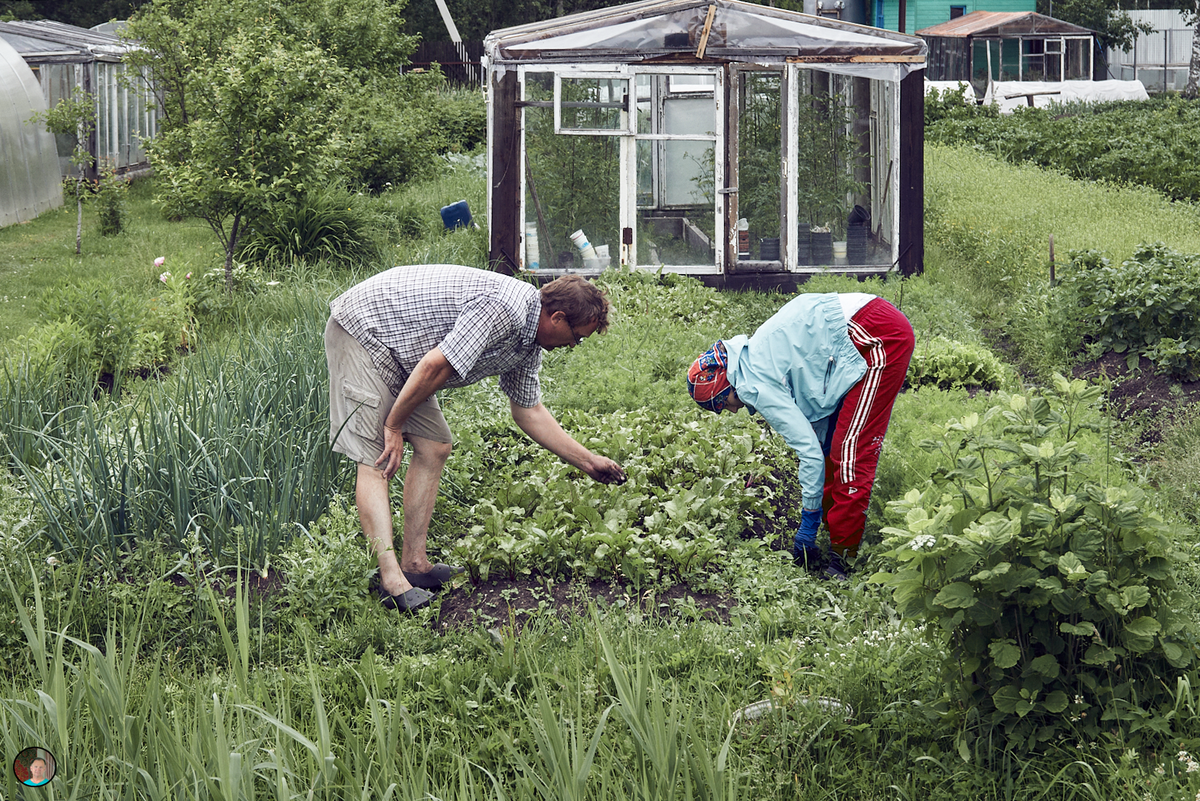 Человек на огороде картинки