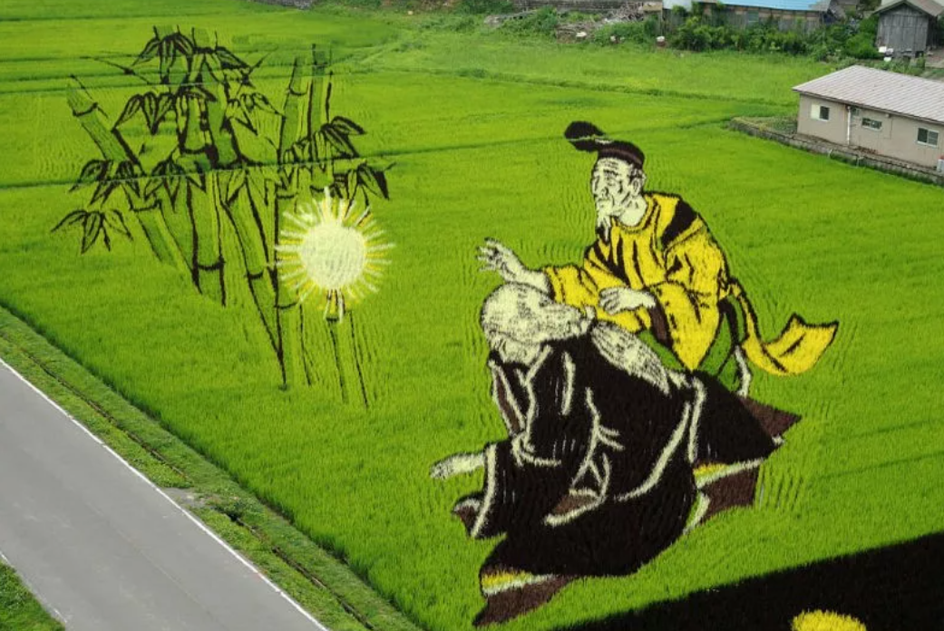Рисовое поле рисунок