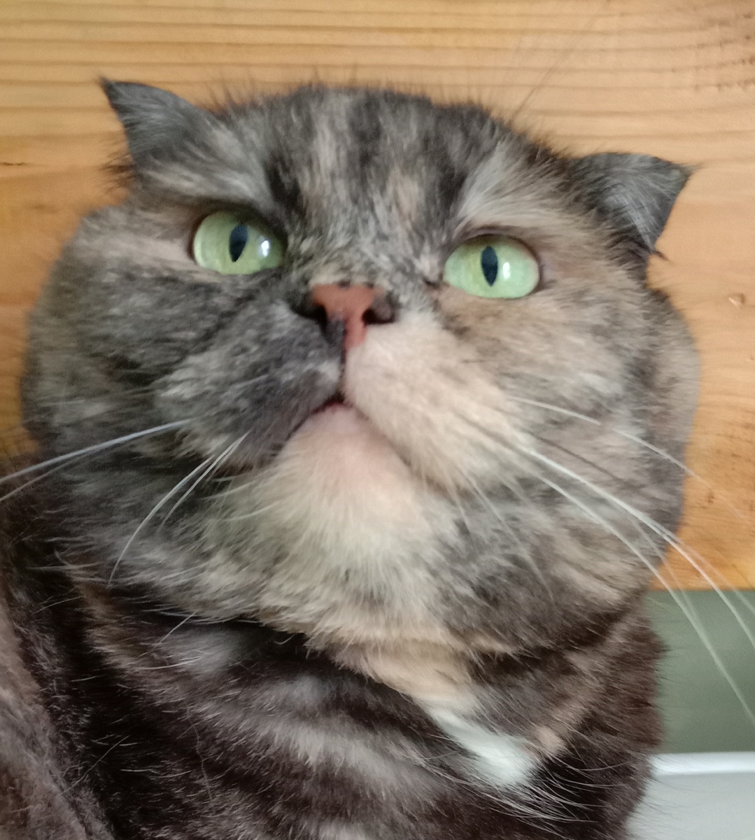 Фото автора. Это мировая проблема что ли, что ты так кричишь?