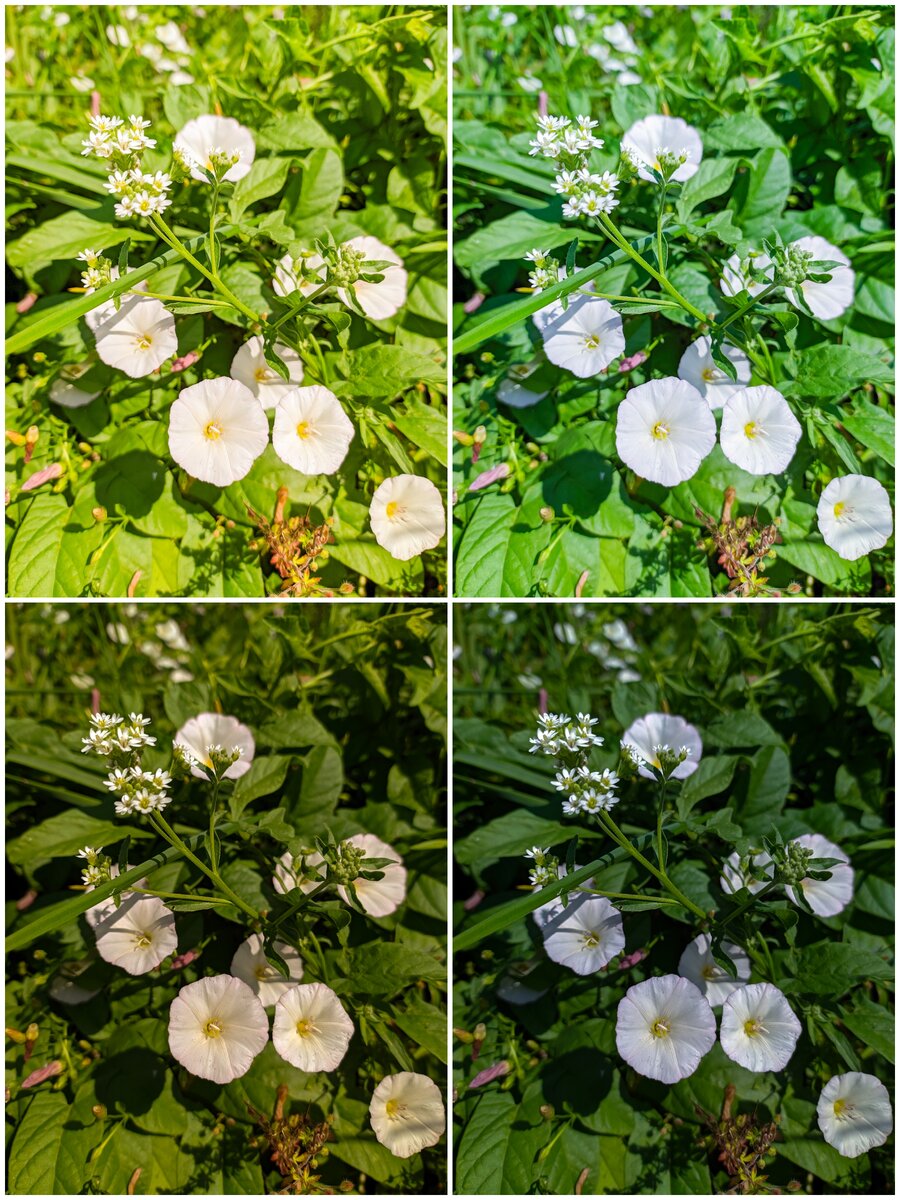 Количество света (яркость) тоже способно задавать настроение на фотографии