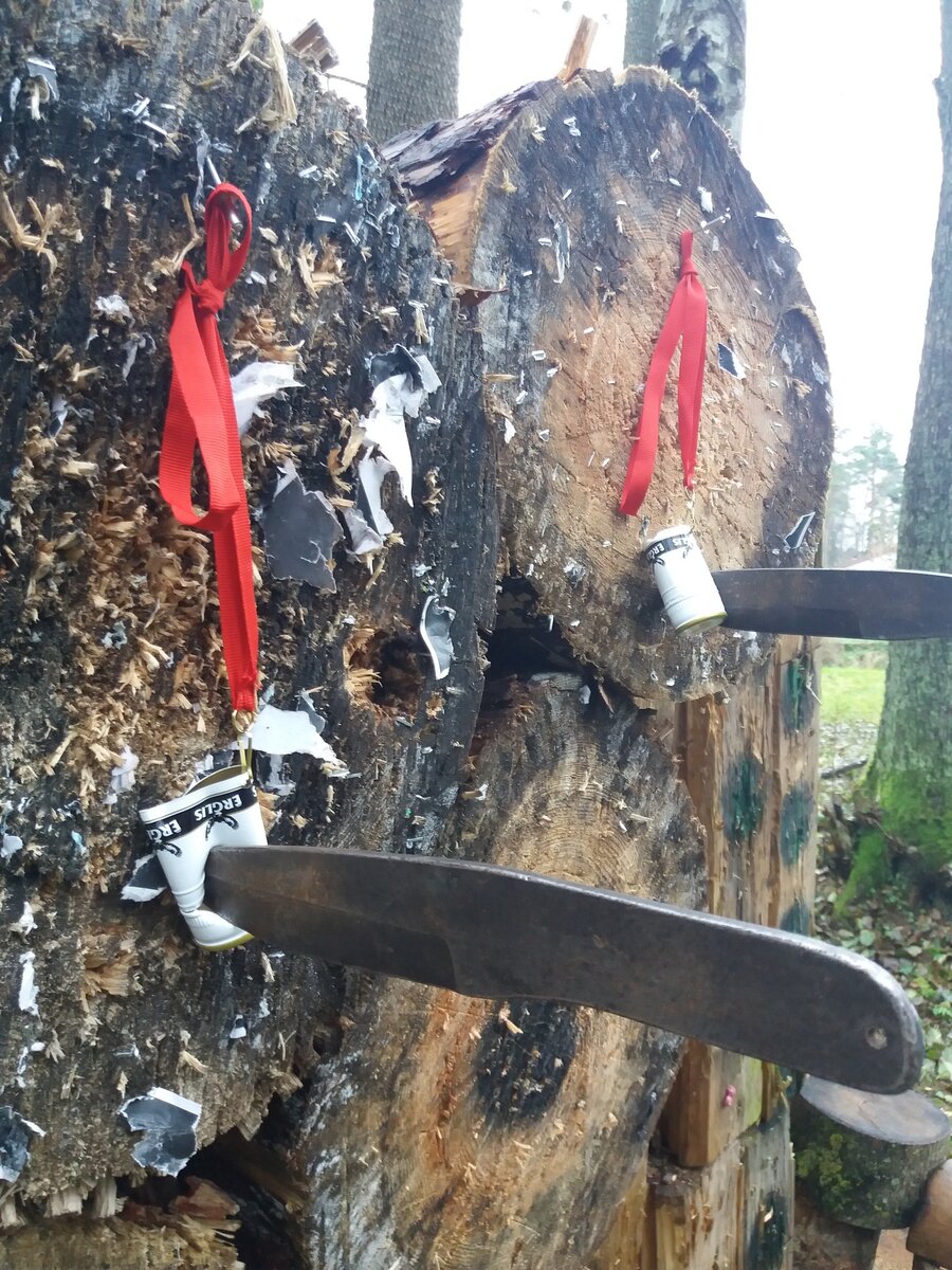 Фото Ивана Долгих 