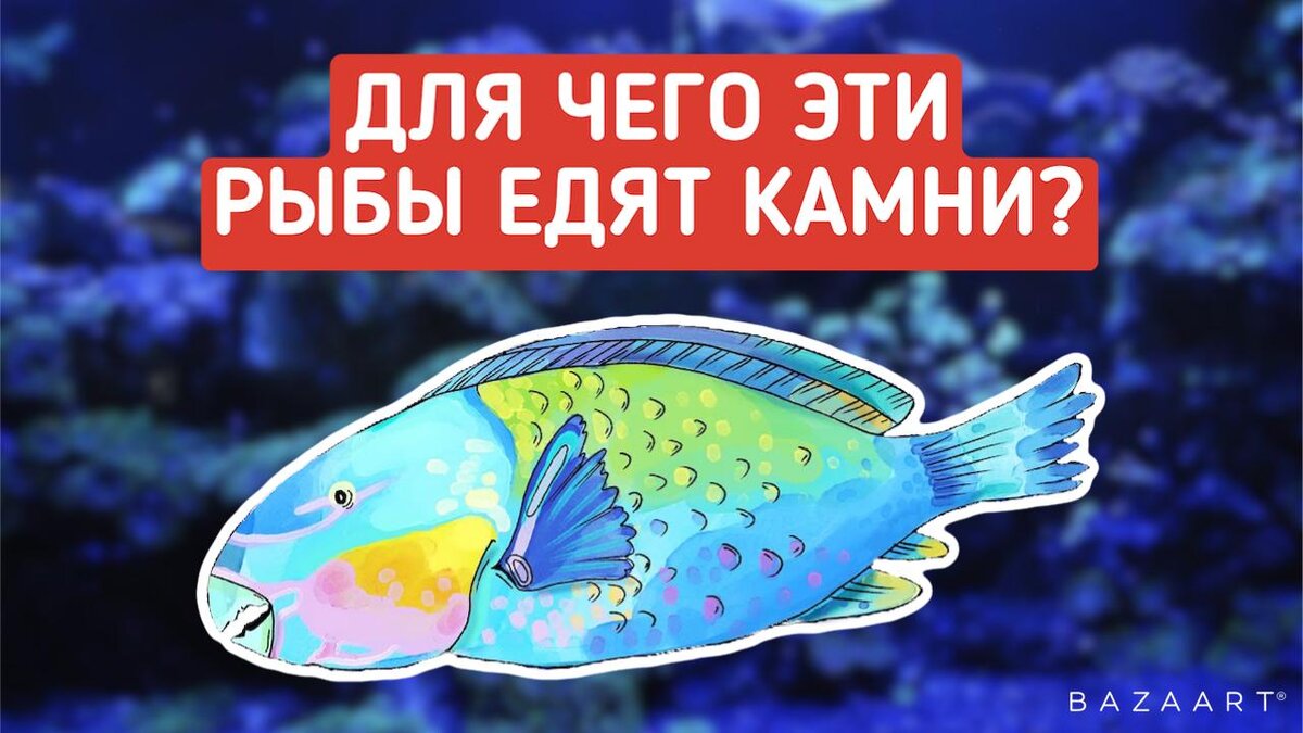Авторская обработка. Источник элементов изображения: pixabay.com, @TED-Ed (youtube)