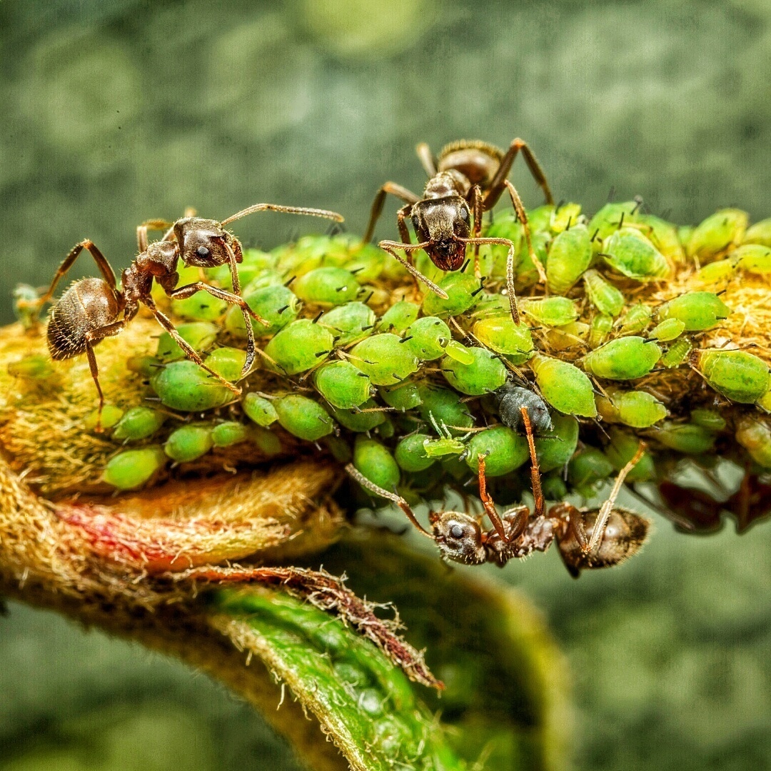 Фото сайта Canva