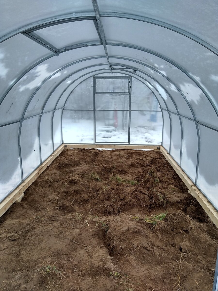 Готовая теплица: вид изнутри