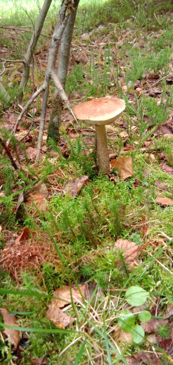 все фотографии как обычно мои