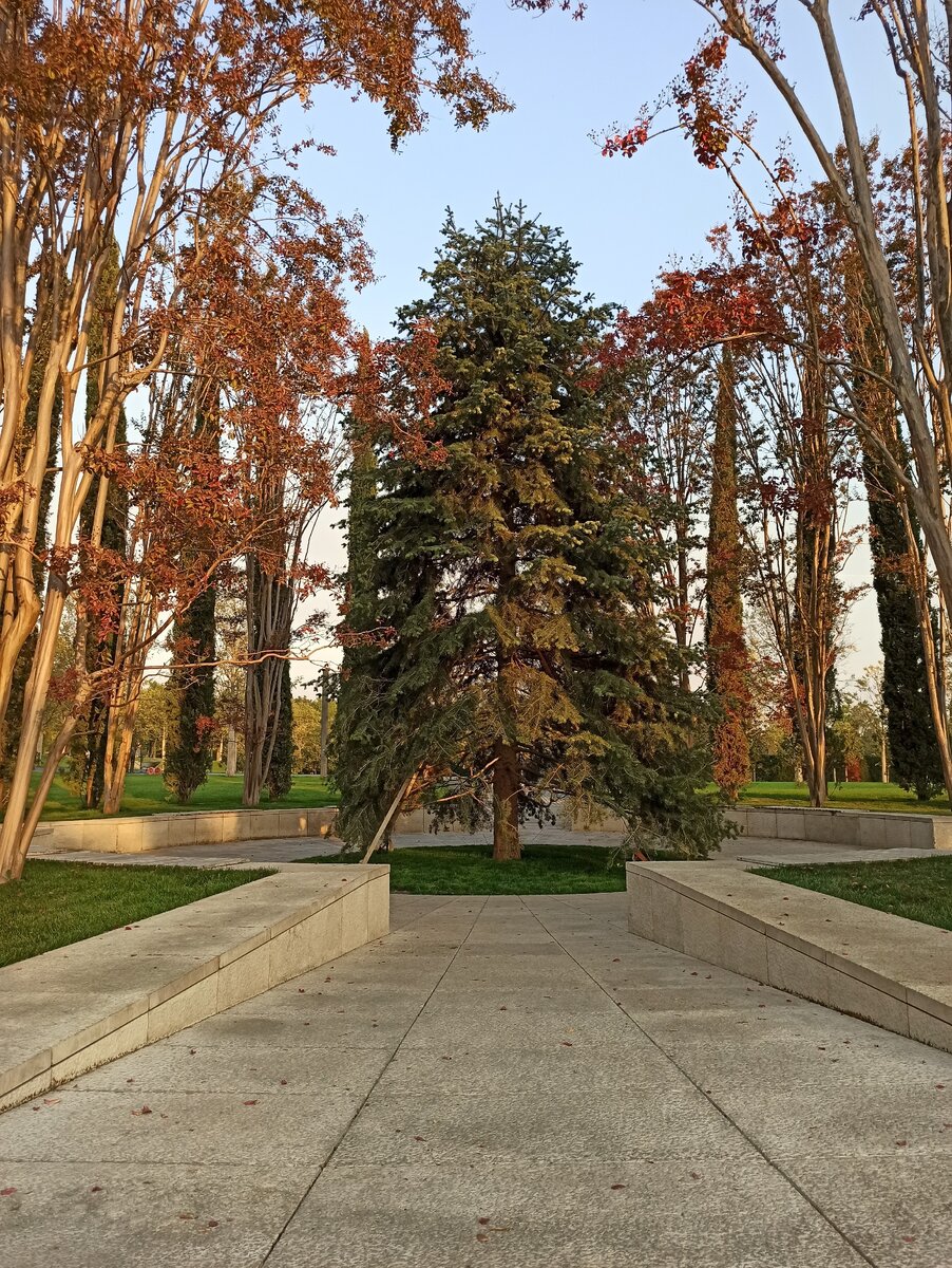 Парк Галицкого в Краснодаре осенью