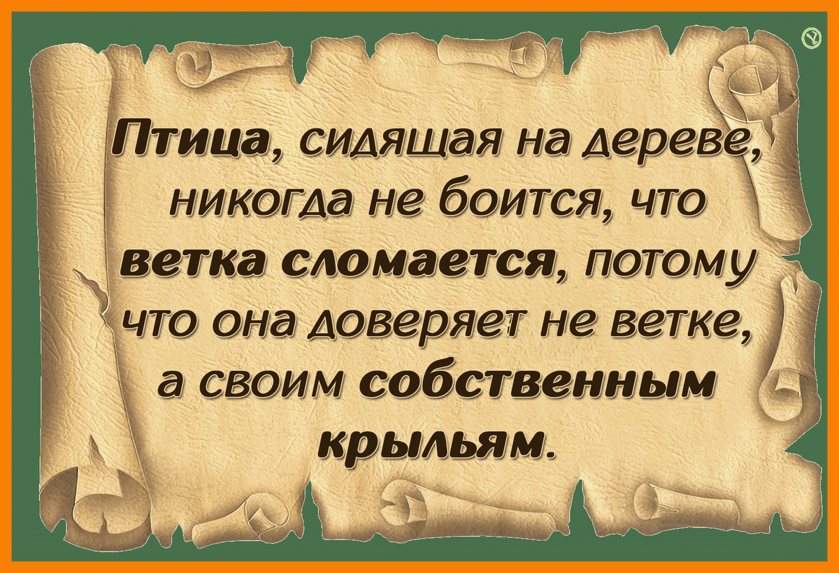 Доверие это основа любой организации. | Читающим между слов... | Дзен