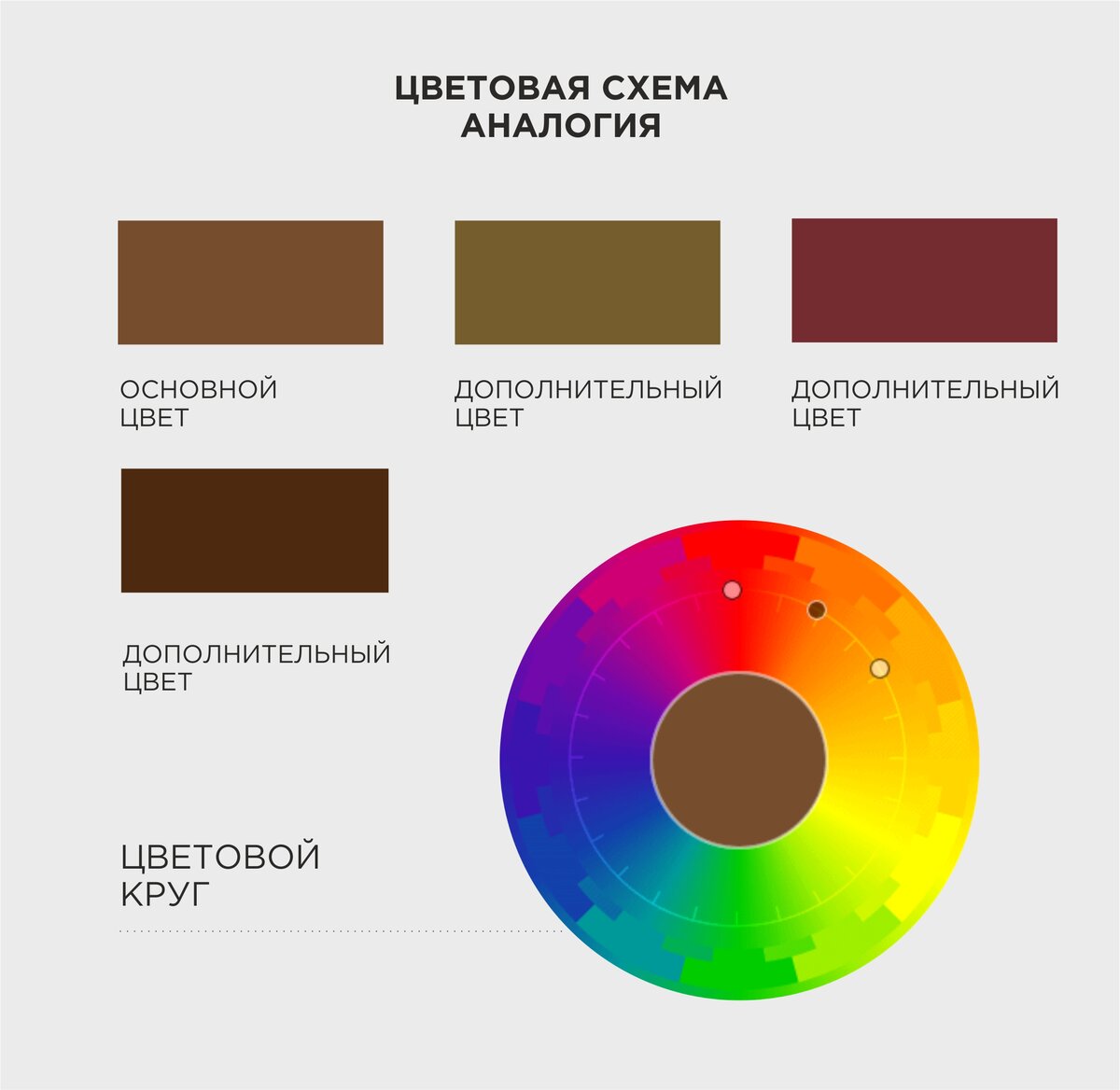 Цветовой круг сочетание цветов в одежде коричневый