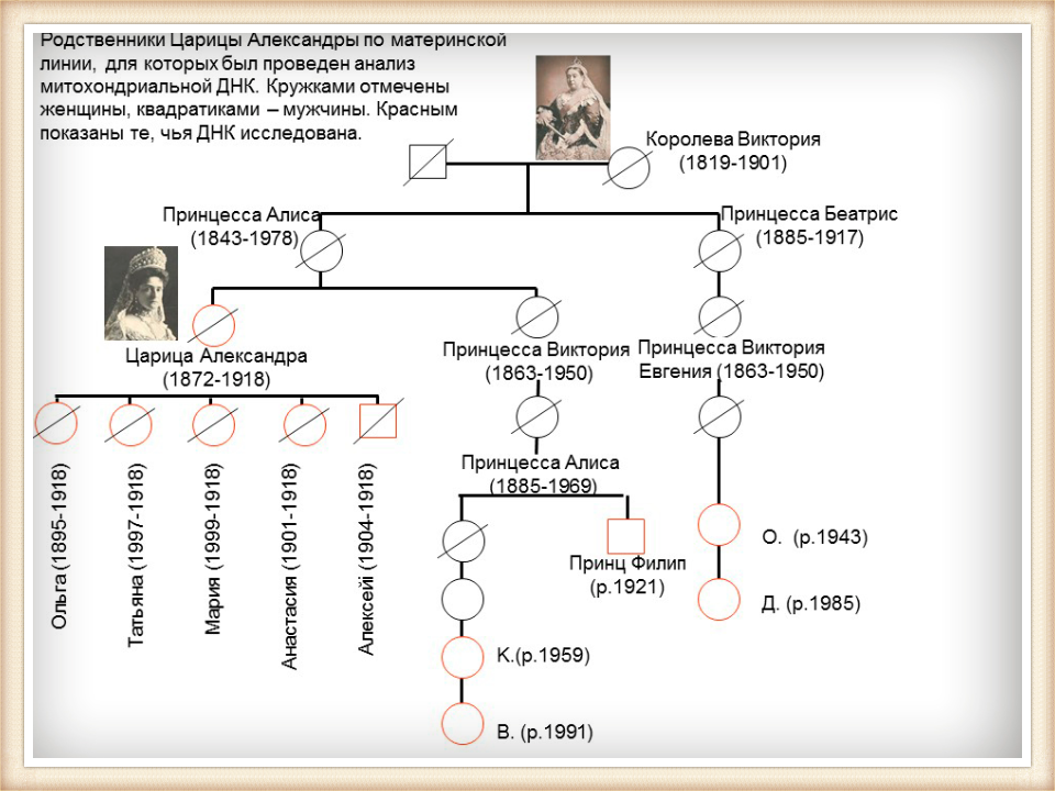 Митохондриальная ДНК императрицы Александры Федоровны и ее родственников