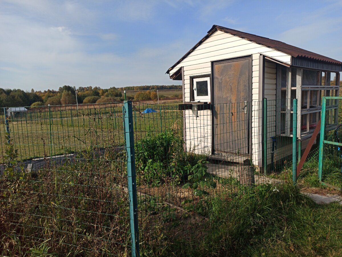 Тут жили куры