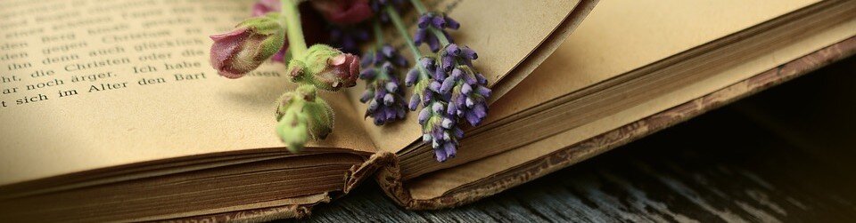 фото pixabay.com