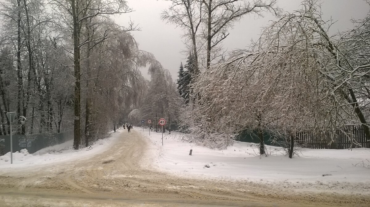 Фото автора. Предновогоднее настроение...