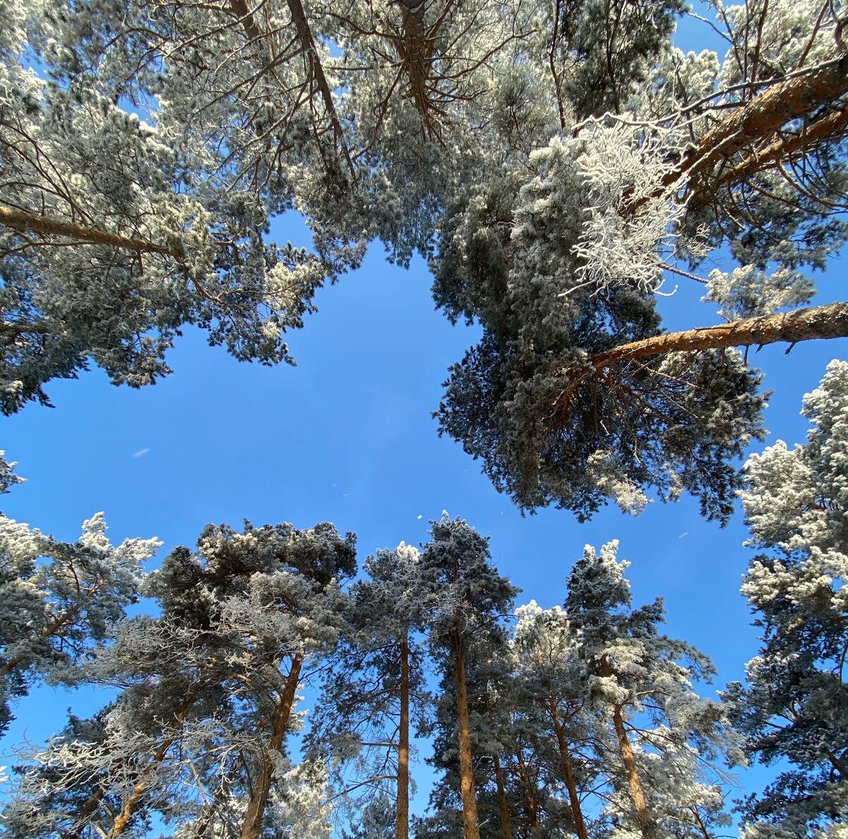 Все произошло на этом самом месте