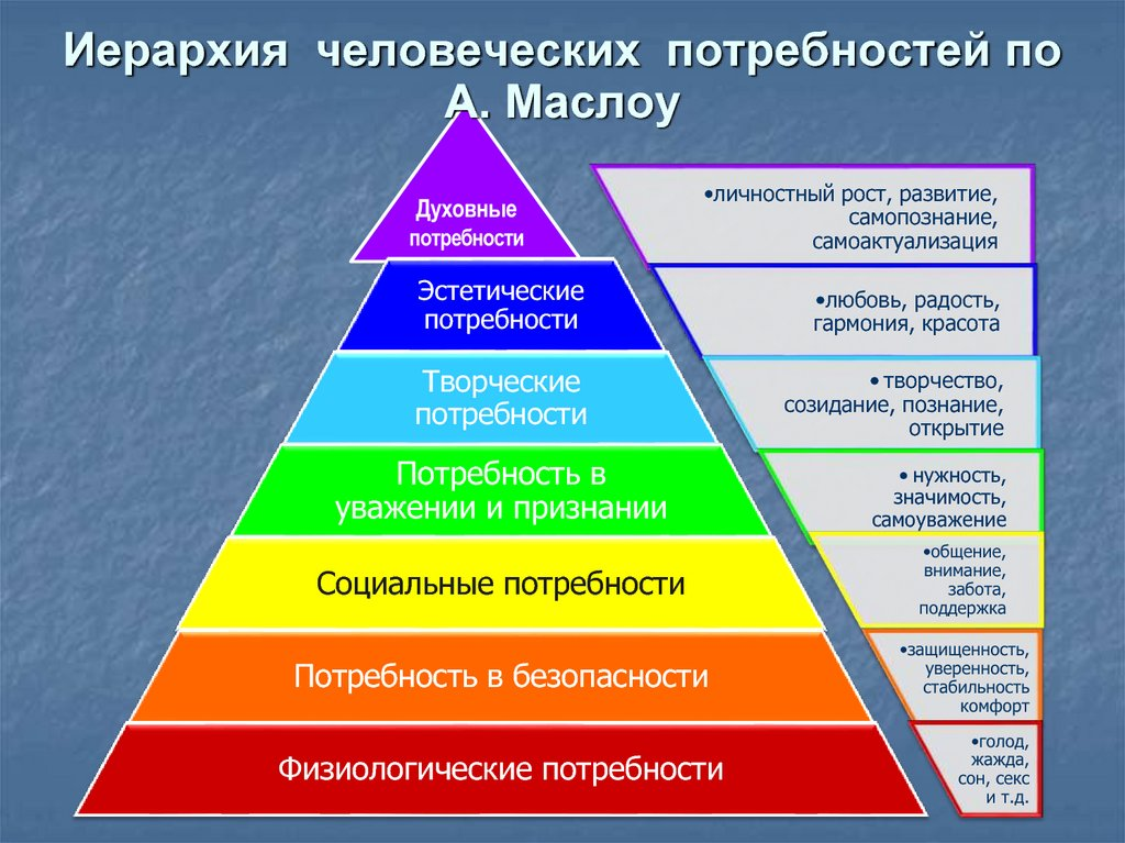 Система построения общества где высшей ценностью является