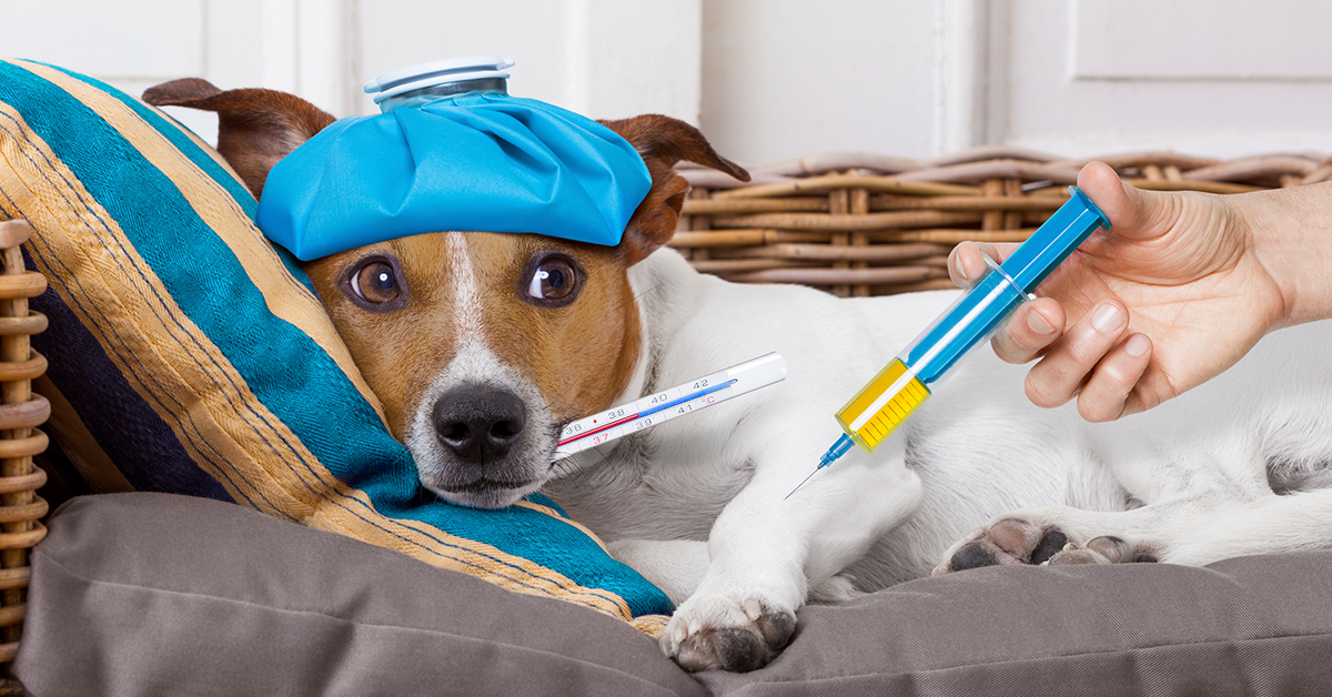 фото взято из общего доступа в интернете